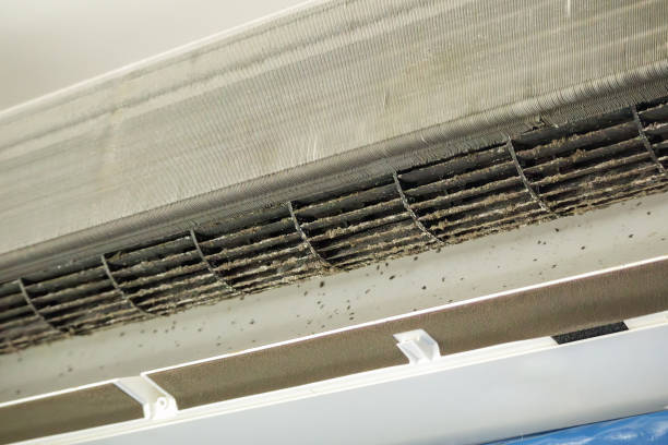 Best Best Air Duct Cleaning Near Me  in Asheville, NC